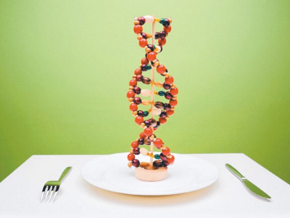 ما هو تحليل السمنة الجينية؟